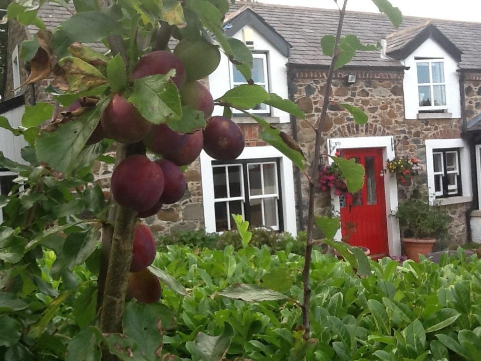 Berwick Hall Cottage Moira  Zimmer foto